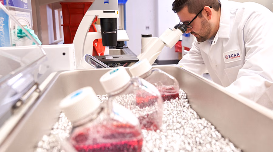 TScan Therapeutics